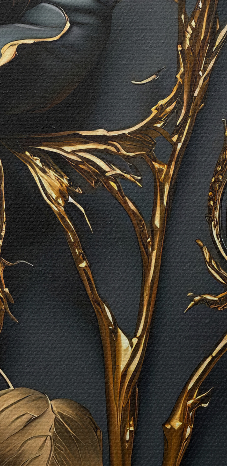 Elegantní půlnoční růže v květu Elegantní půlnoční růže v květu