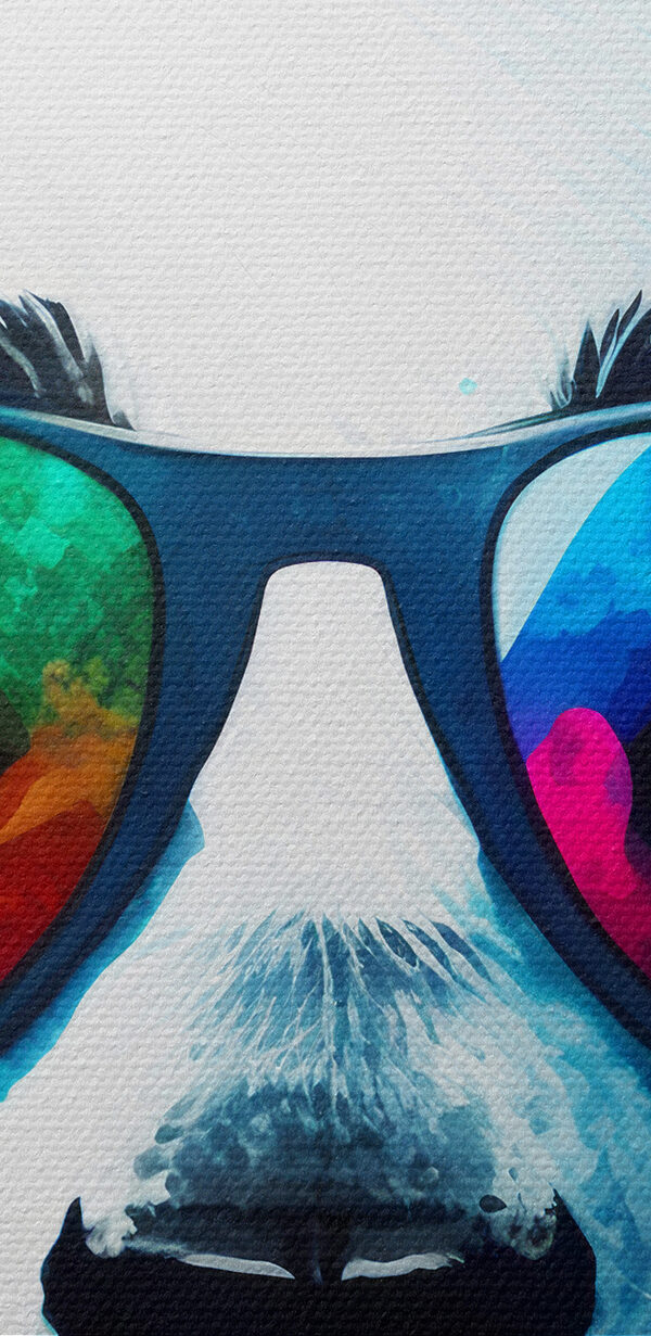 Panda se sluchátky na uších a slunečními brýlemi Panda se sluchátky na uších a slunečními brýlemi