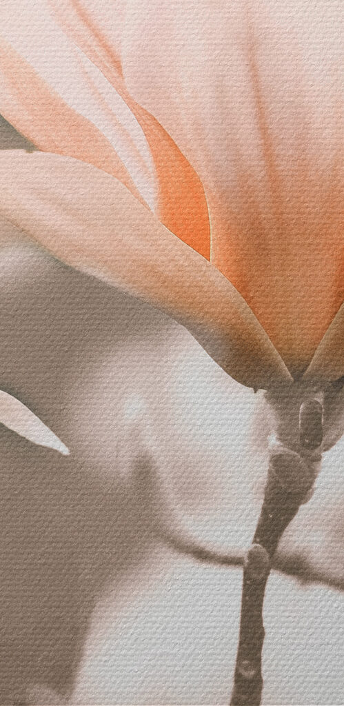 A group of flowers on a branch