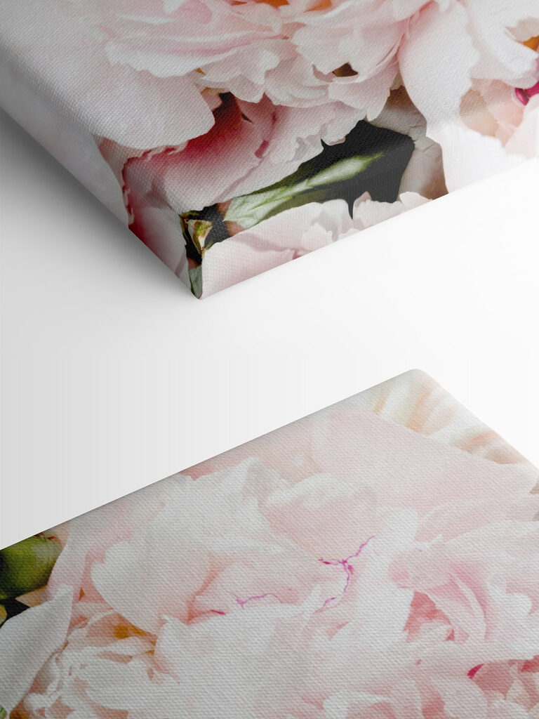 A group of pink flowers