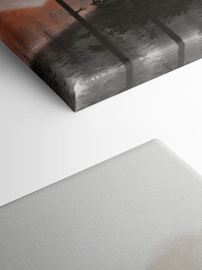 A group of trees in the mountains