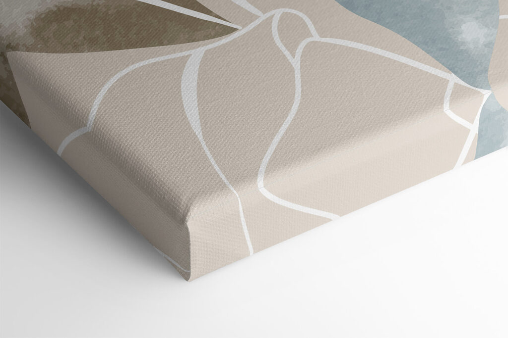 A close up of a leaf