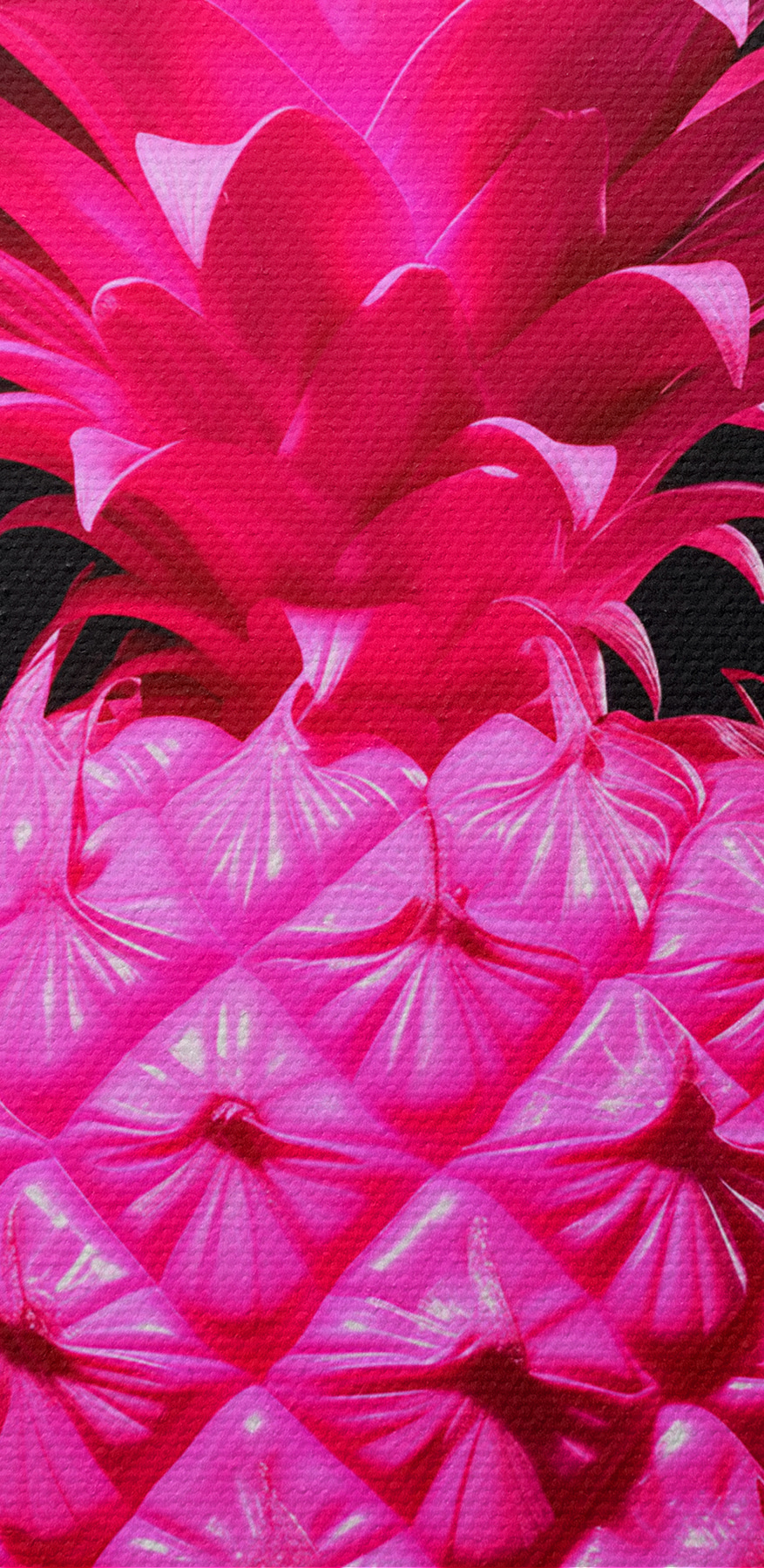 Růžový ananas na černém pozadí Růžový ananas na černém pozadí