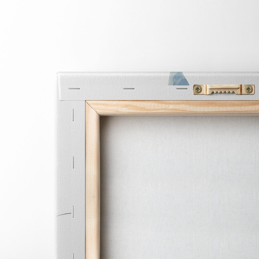 A cat and a cat A cat and a cat