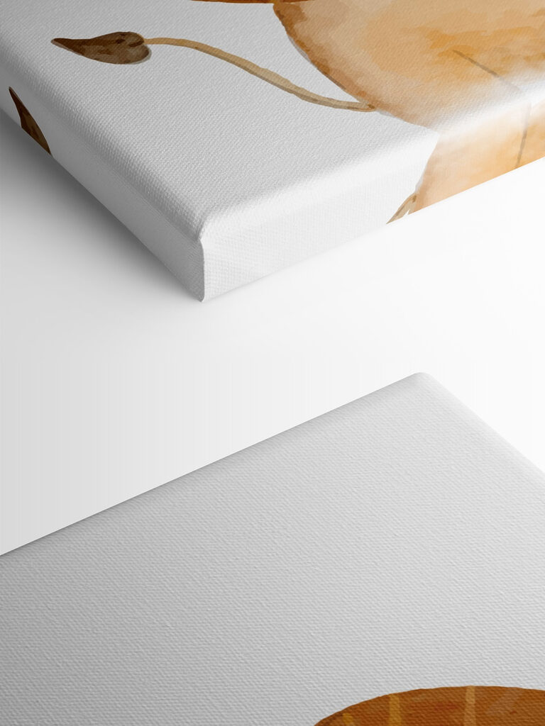 A lion with a large brown mane