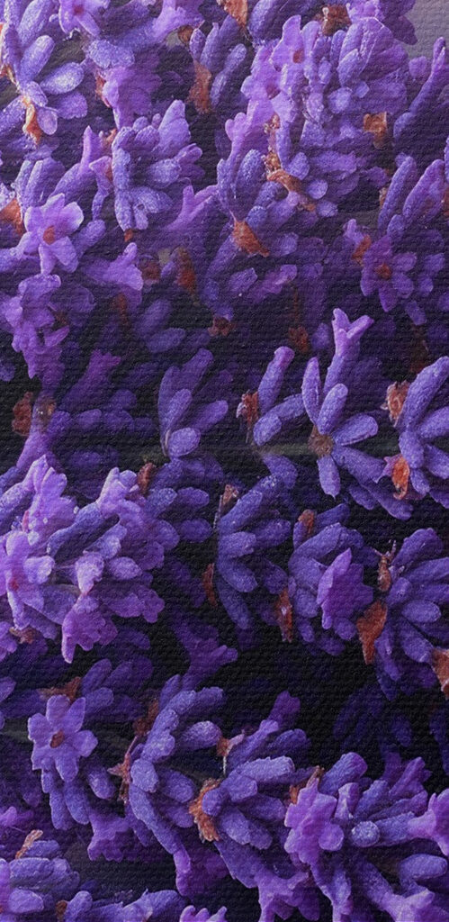 A bunch of purple flowers
