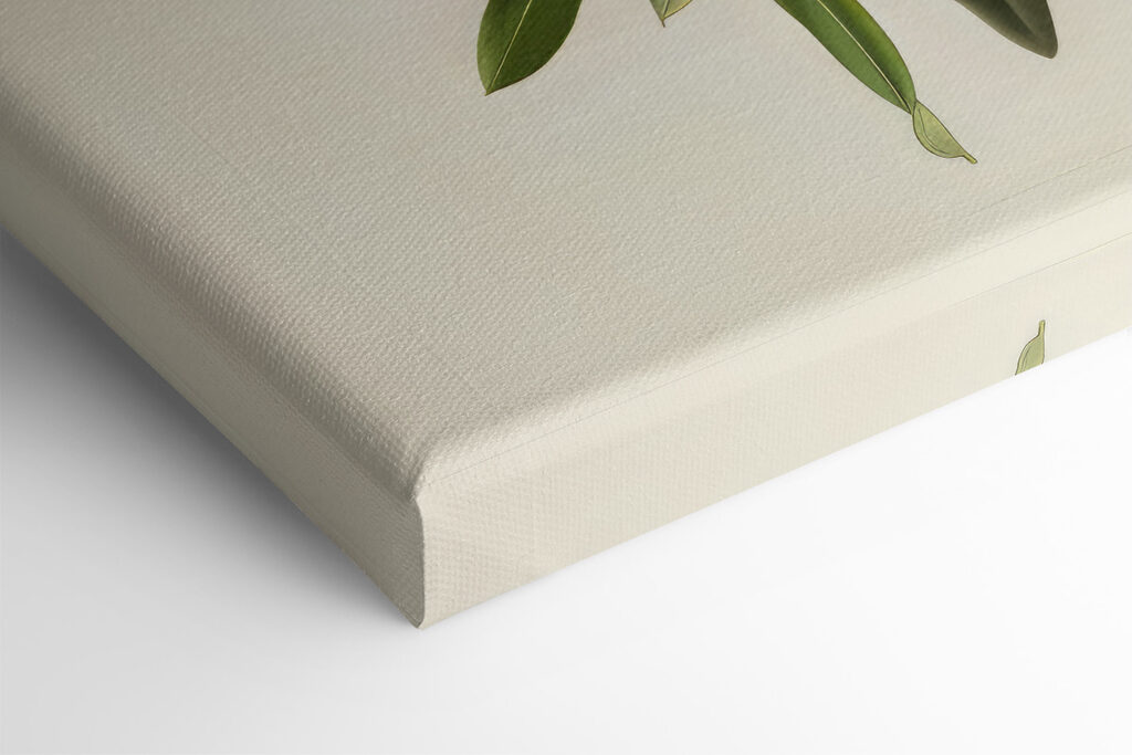 A green fruit on a branch