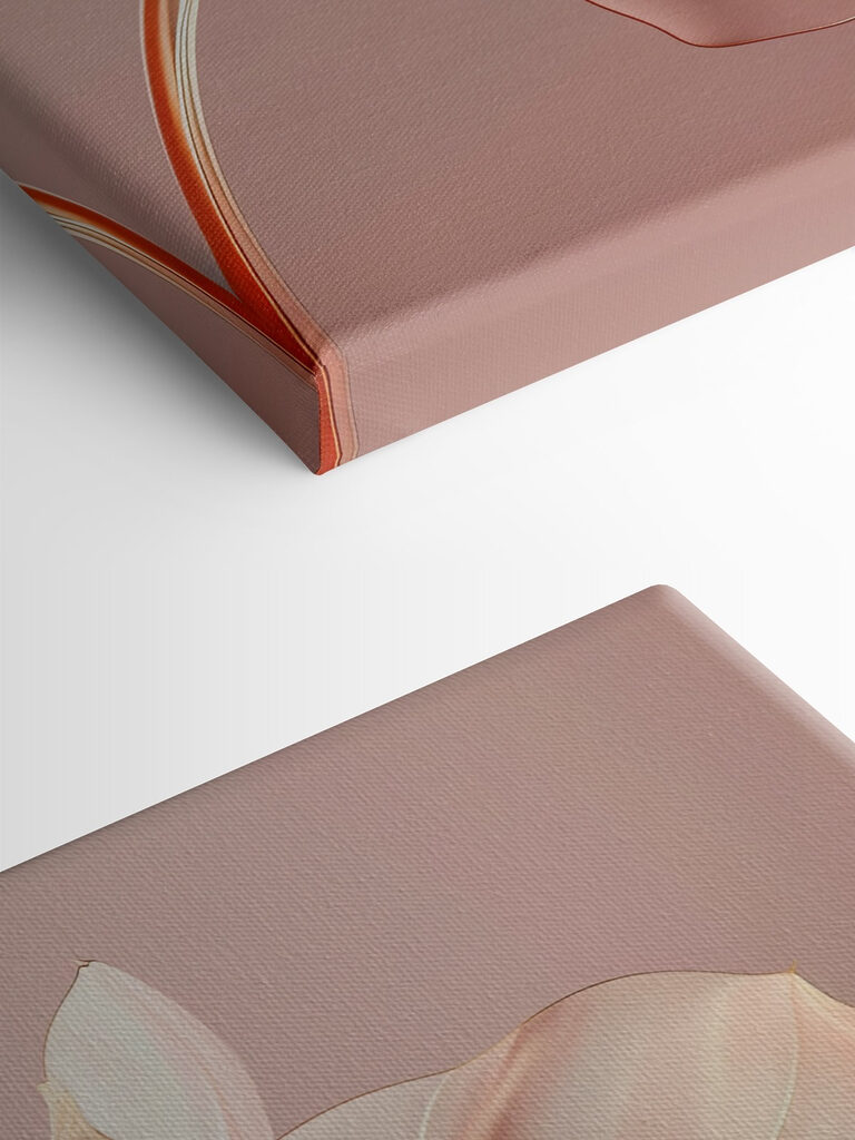 Close up of a flower