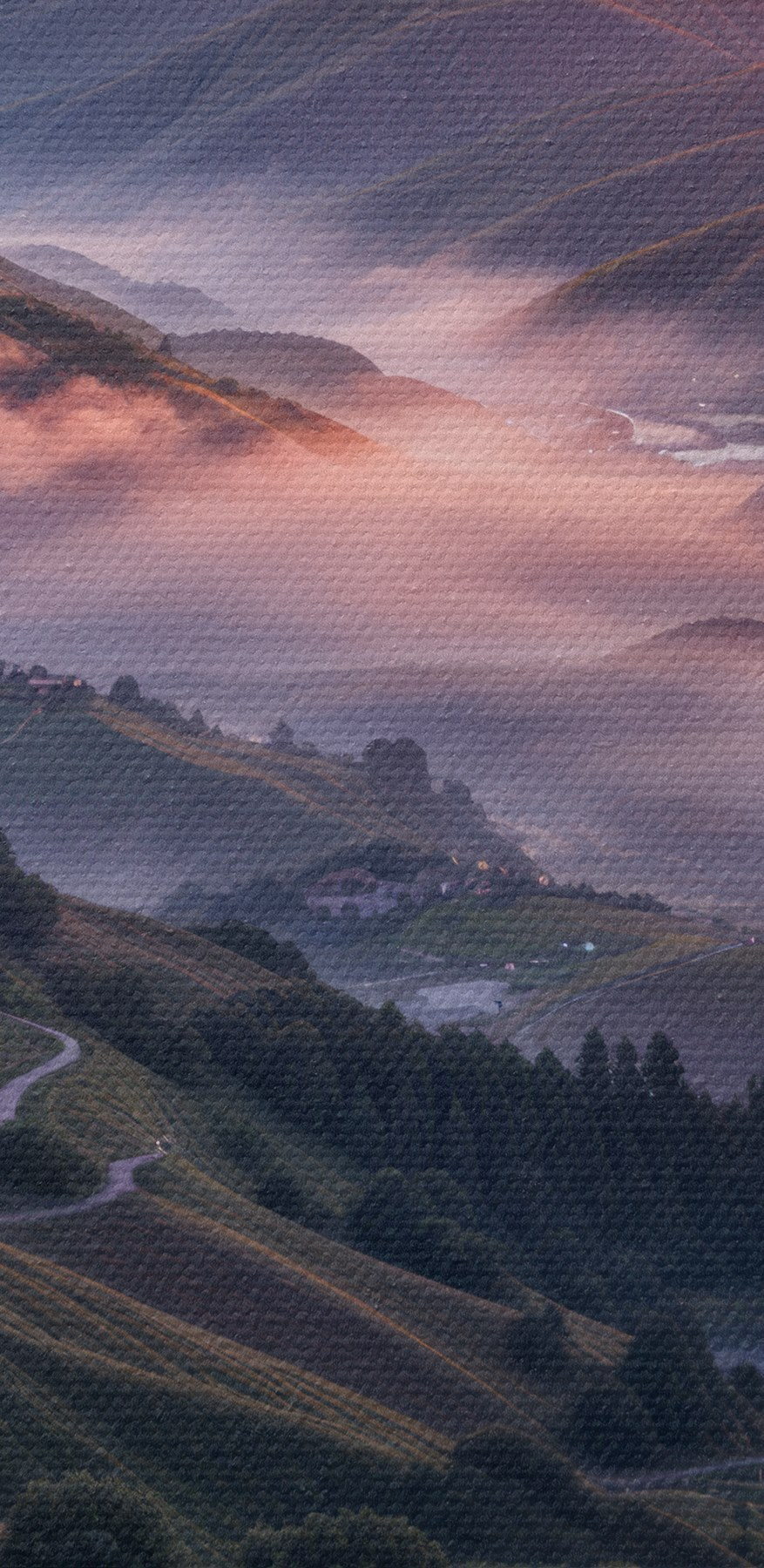 Údolí s květinami a řekou
