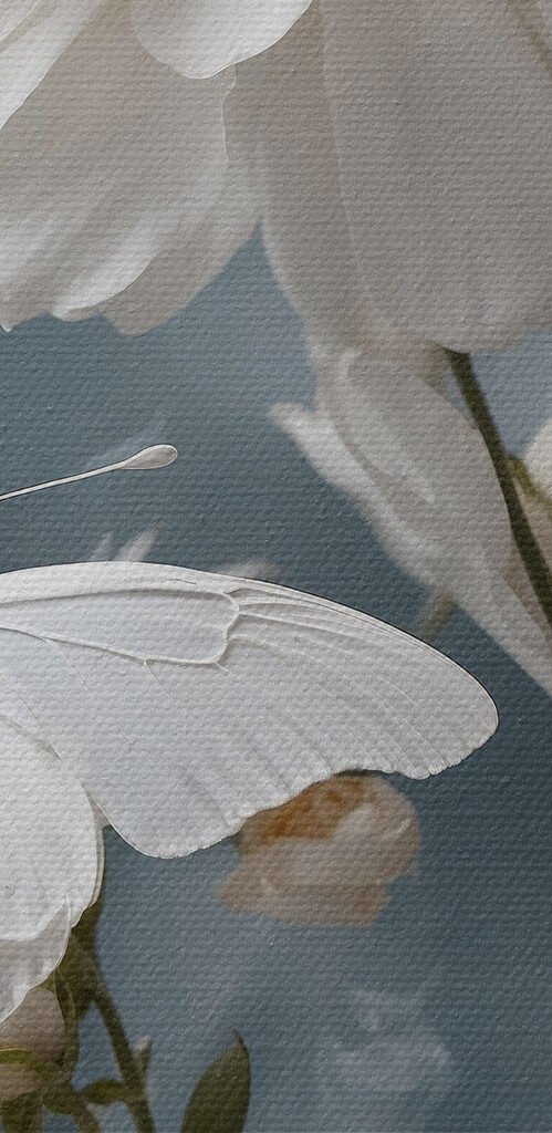 Butterfly on a flower