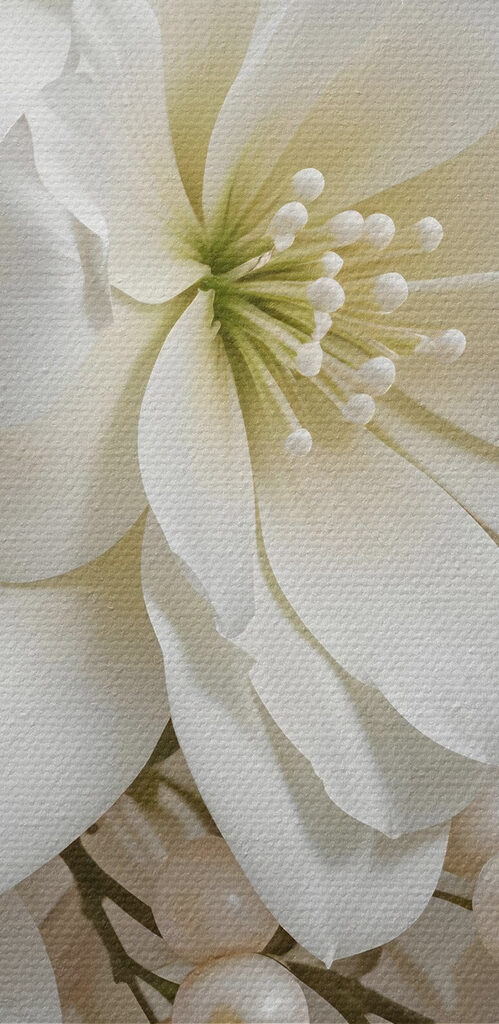 Elegant bouquet of soft white blooms