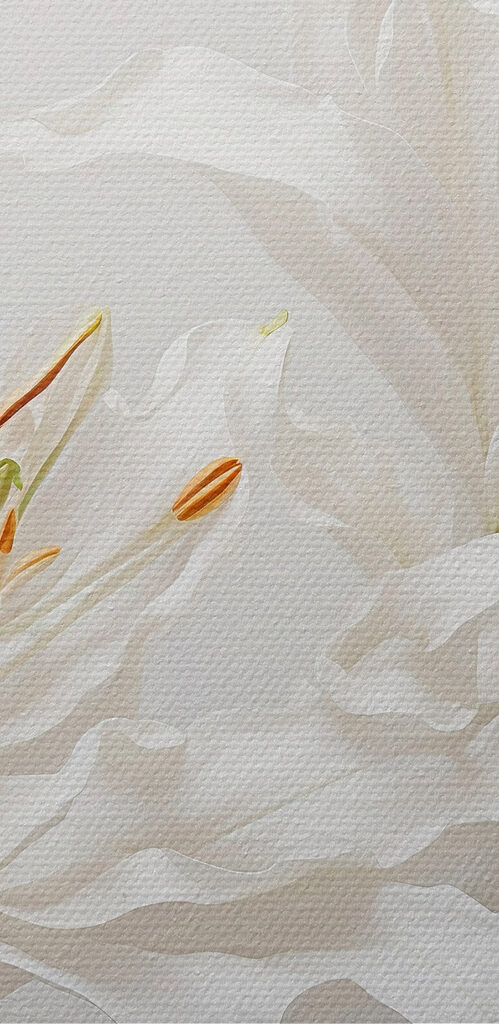 Group of white flowers