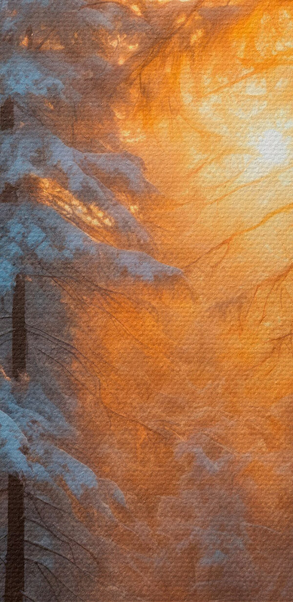 Zasněžený les se stromy a potokem Zasněžený les se stromy a potokem