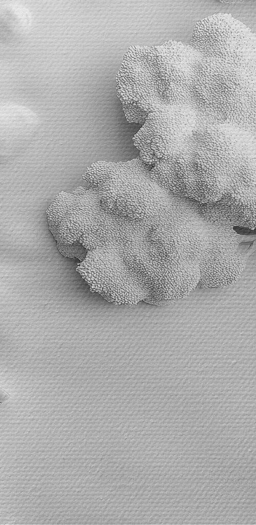 White wall art with a house and tree White wall art with a house and tree