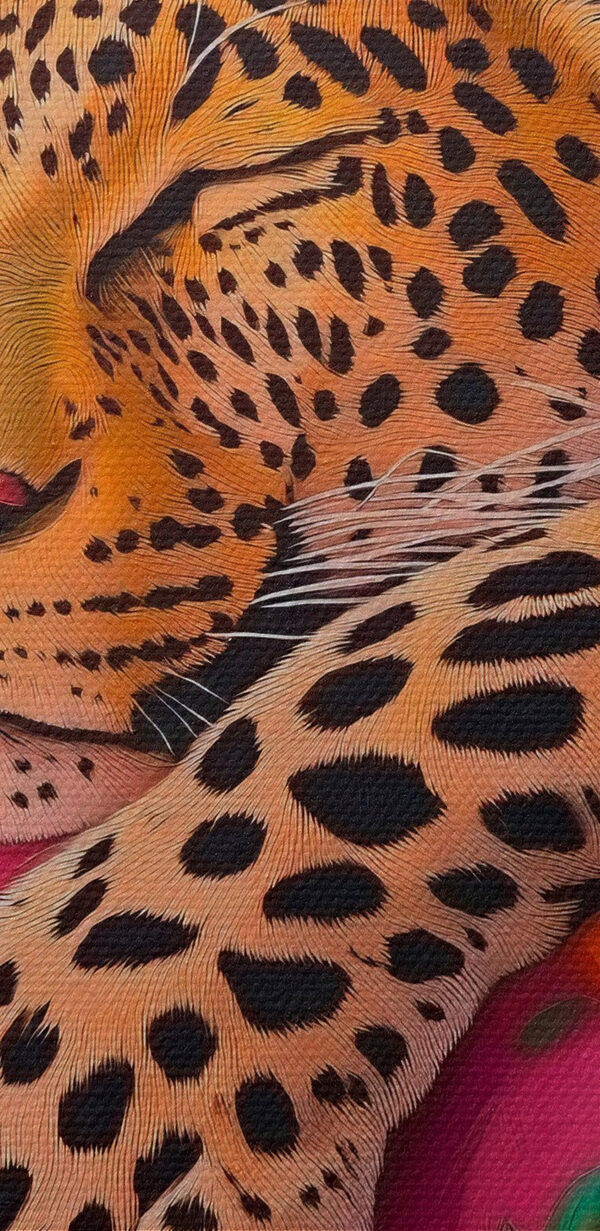 Leopard spící na růžovém gauči Leopard spící na růžovém gauči