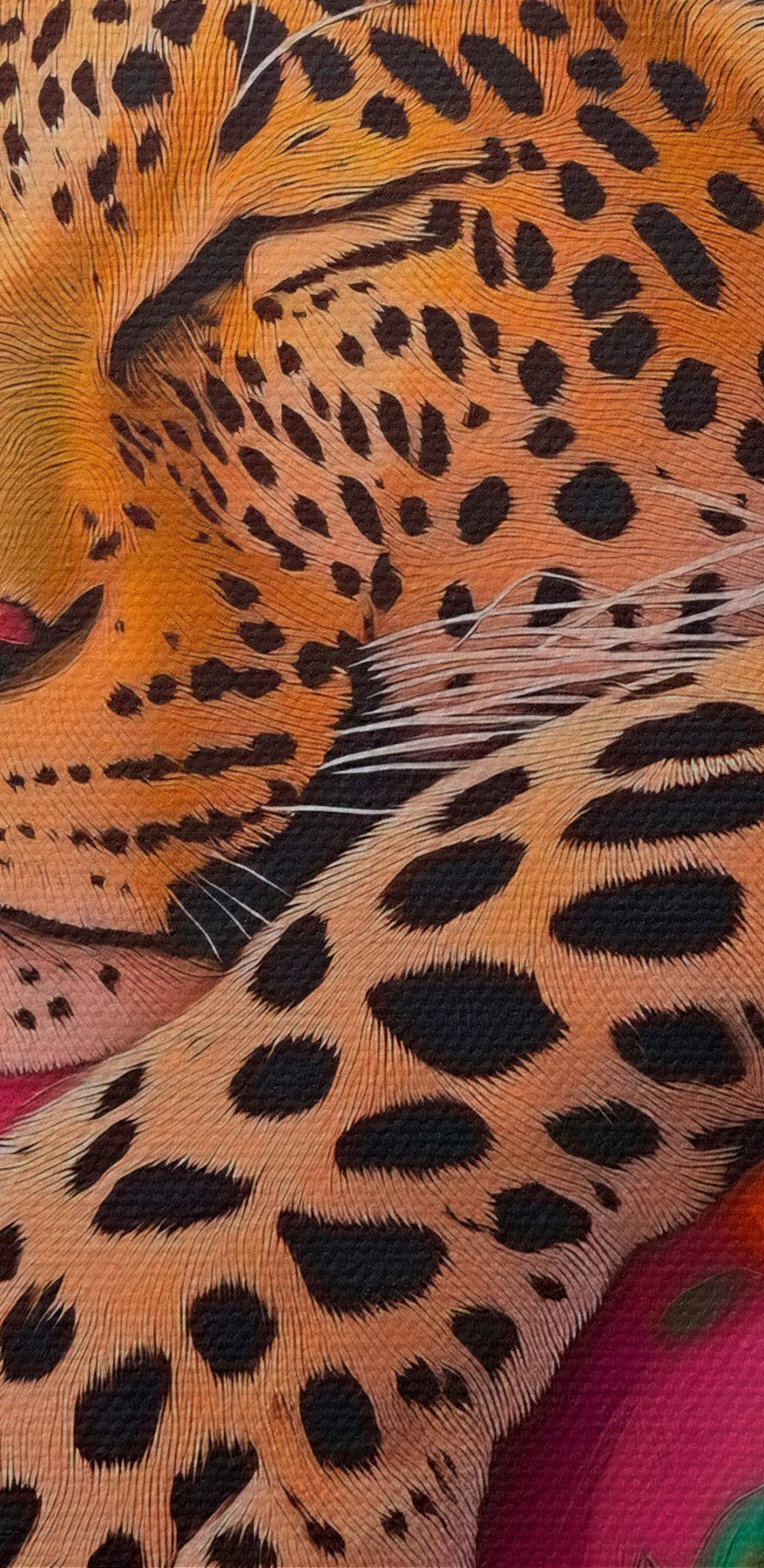 Leopard spící na růžovém gauči
