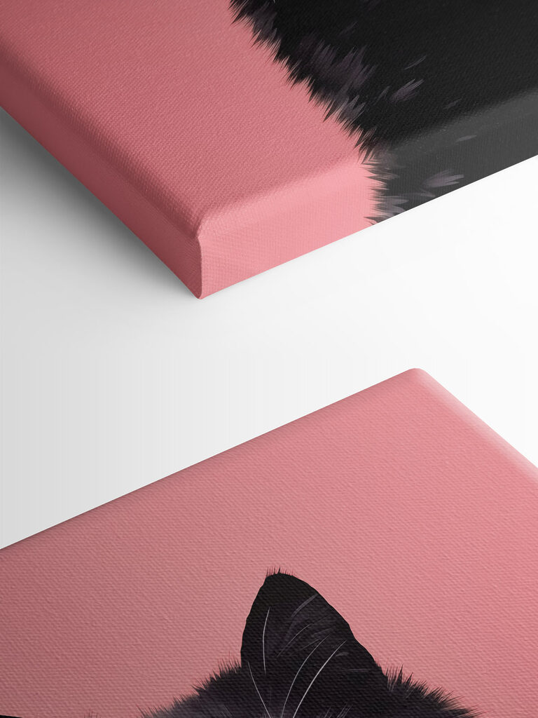 Black cat with pink eyes