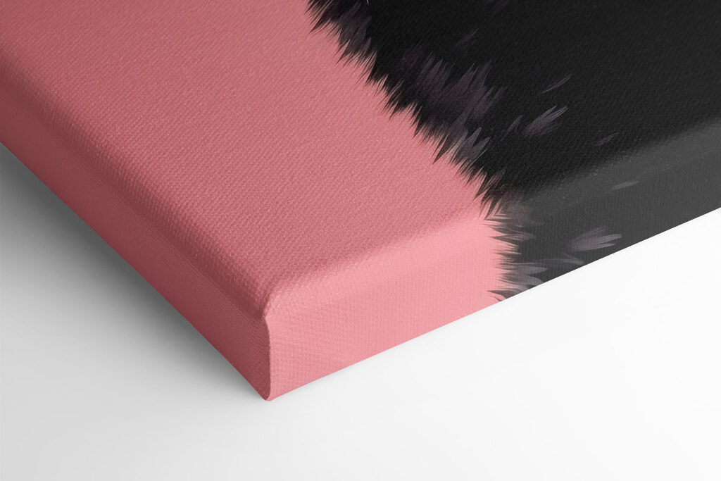 Black cat with pink eyes