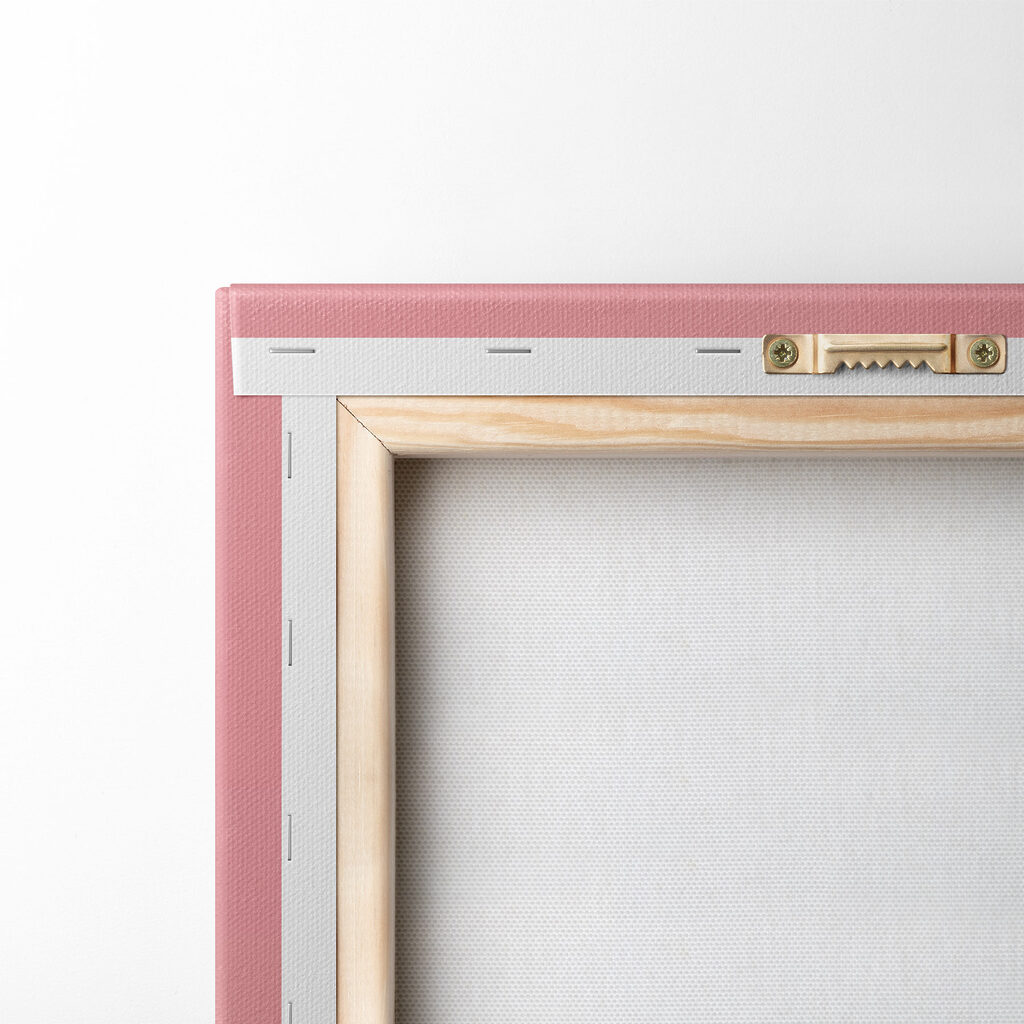 Black cat with pink eyes