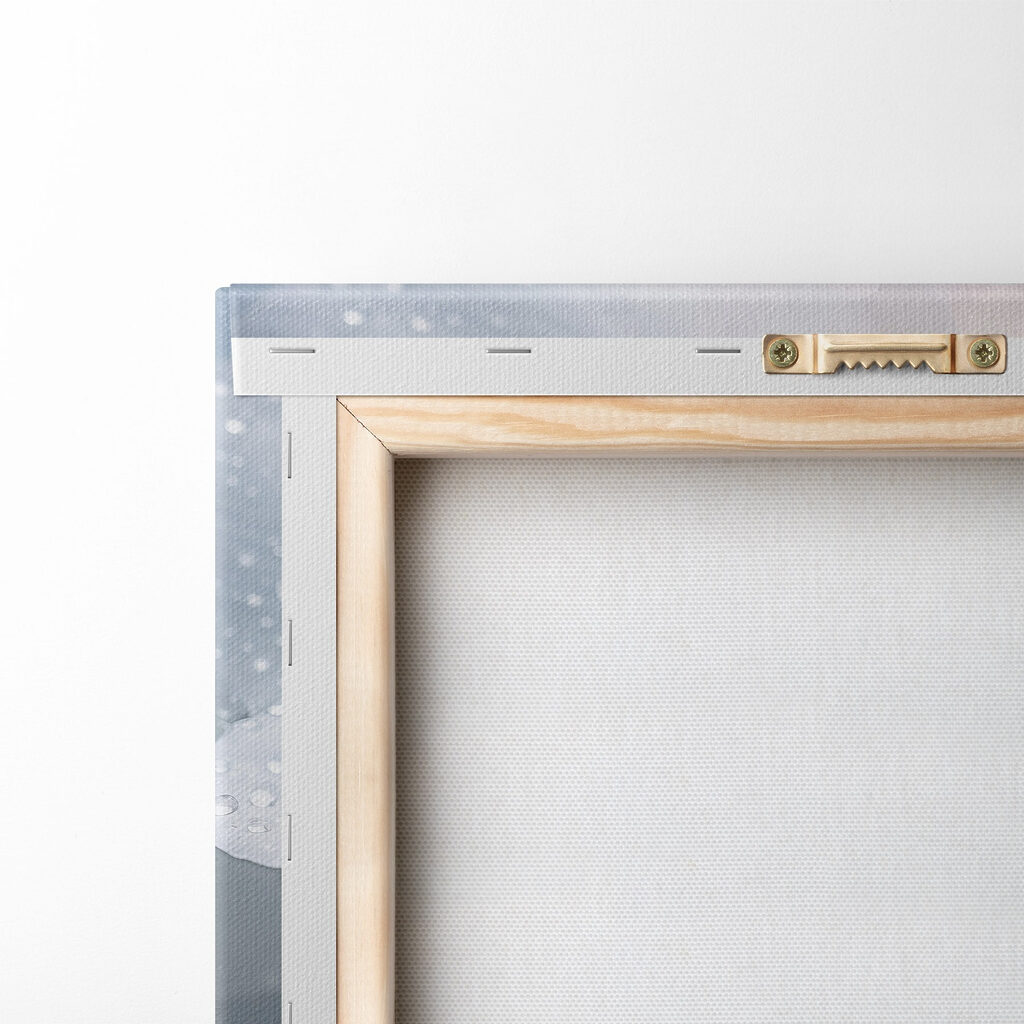 Delicate petals with glistening droplets