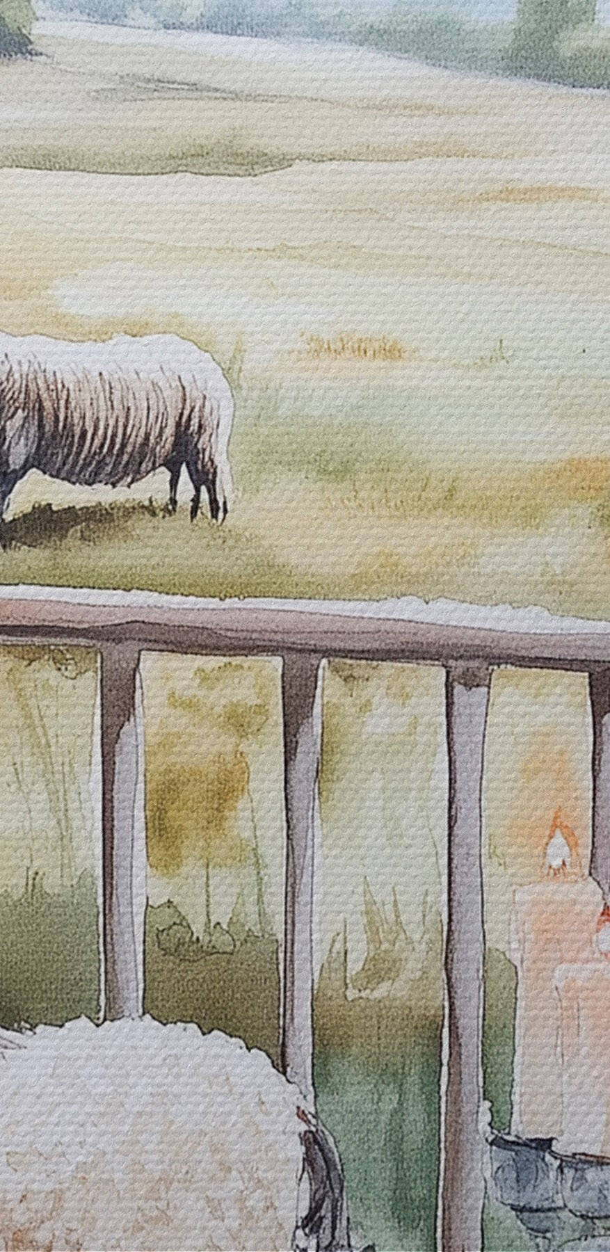 Malba ovcí na verandě
