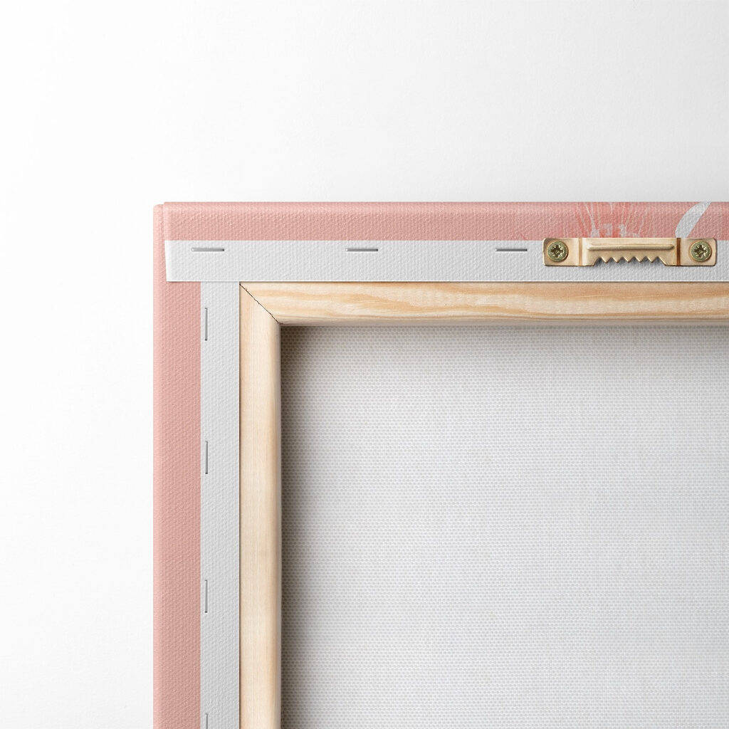 Cactus with pink flowers