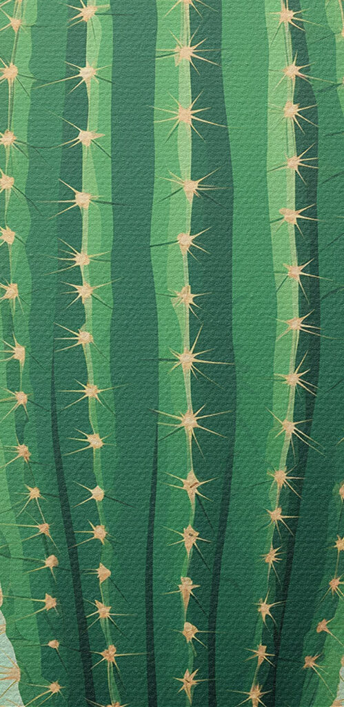 Cactus with a flower in it