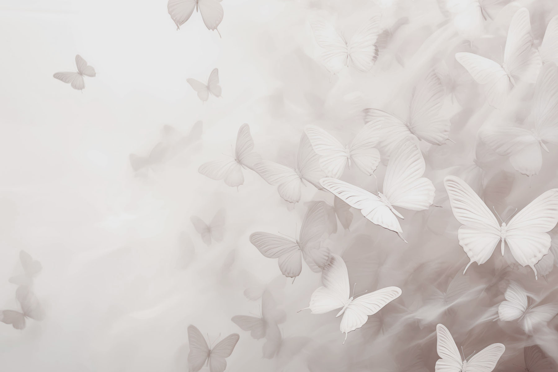 Group of butterflies flying