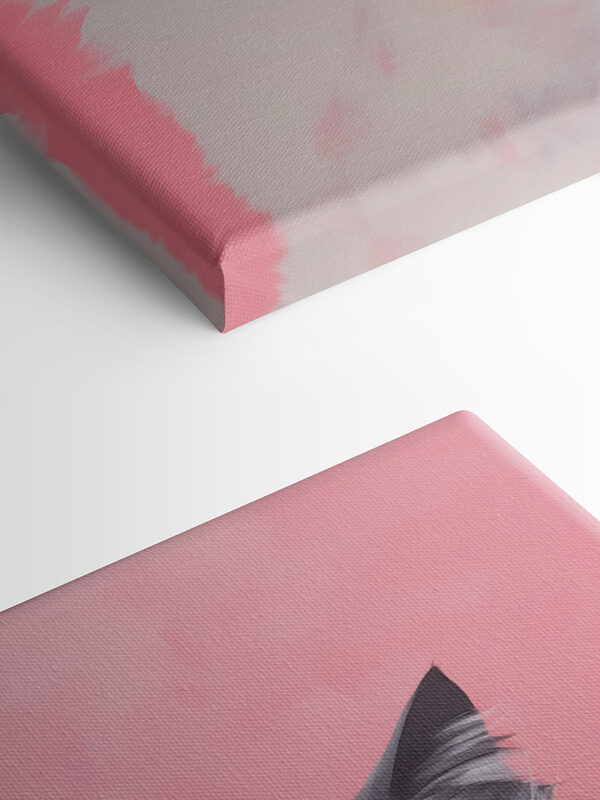 Černobílá kočka s oranžovýma očima Černobílá kočka s oranžovýma očima