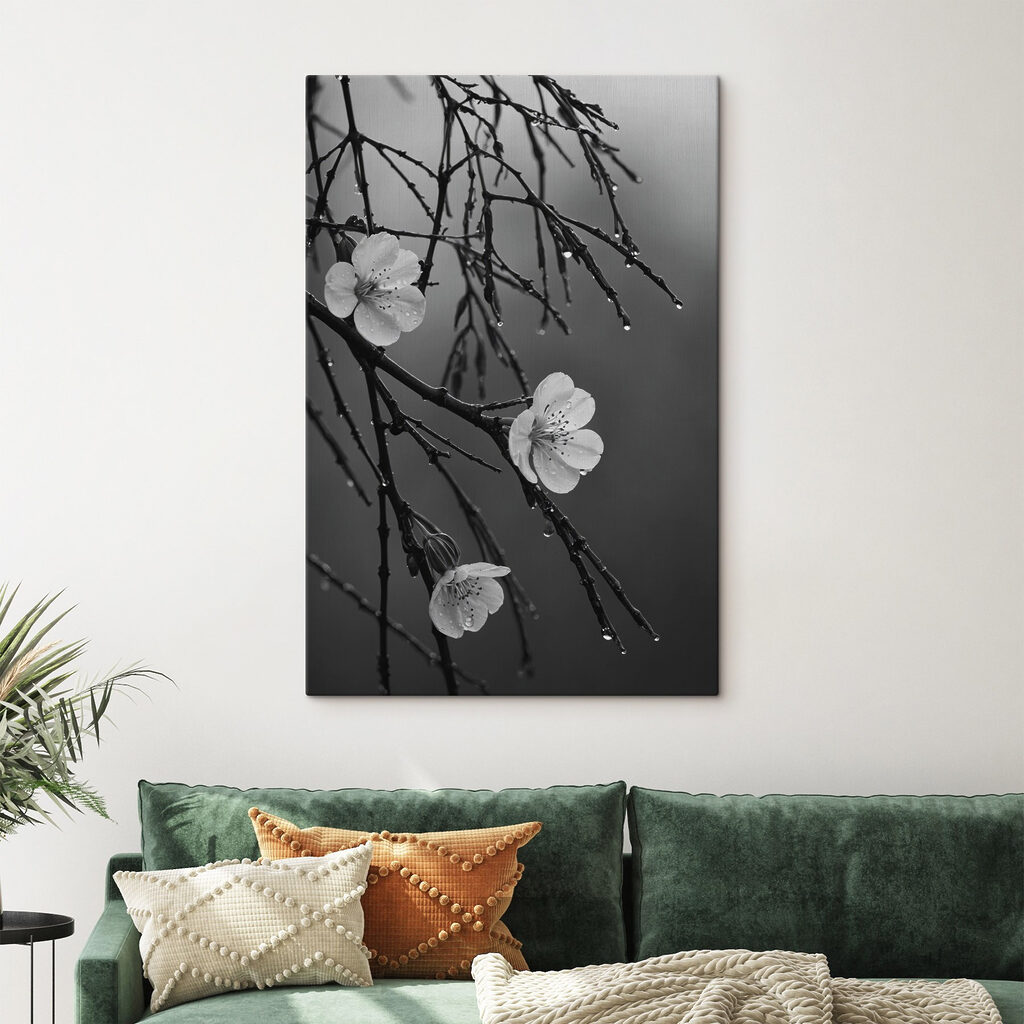 Delicate blooms beneath gentle rain Delicate blooms beneath gentle rain