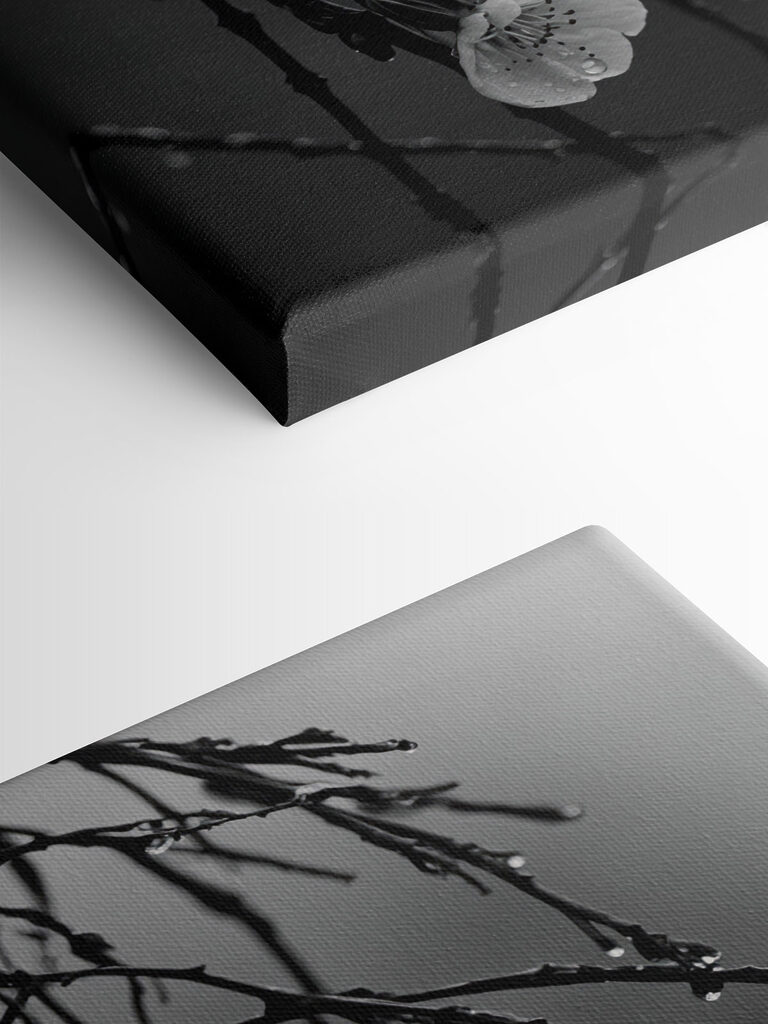 Delicate blooms beneath gentle rain Delicate blooms beneath gentle rain