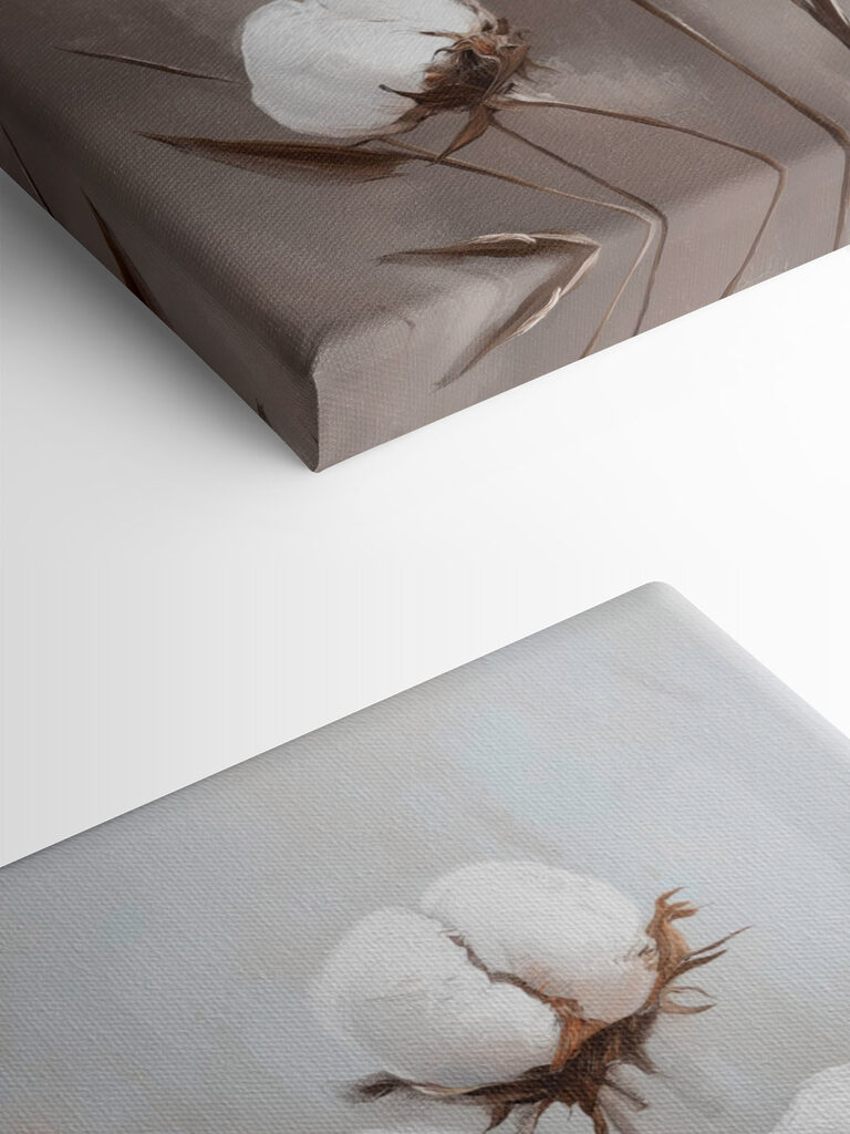 Cotton blooms in gentle elegance