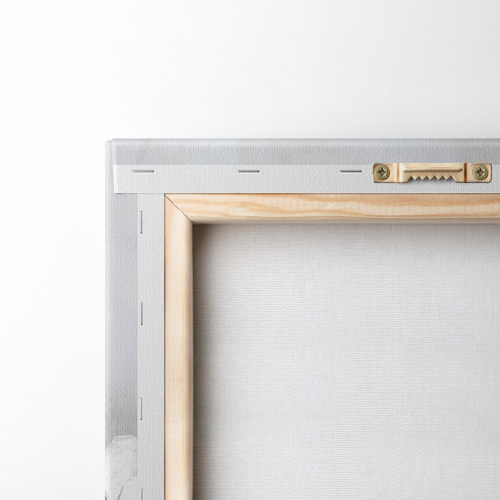 Cotton blooms in gentle elegance