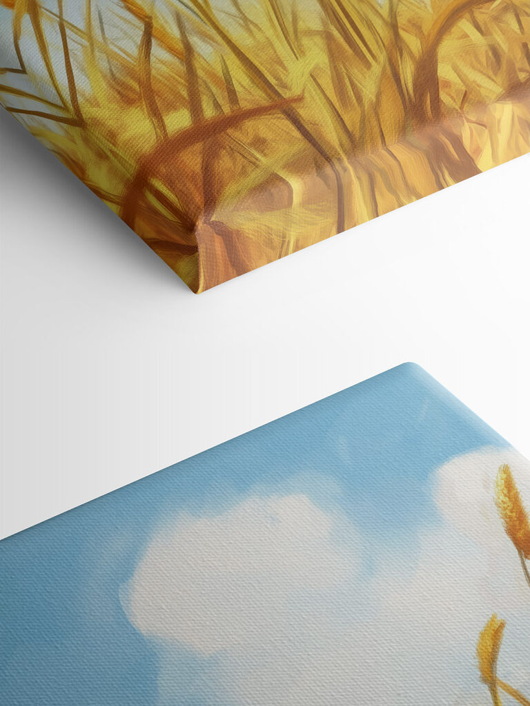 Cat sitting in a wheat field