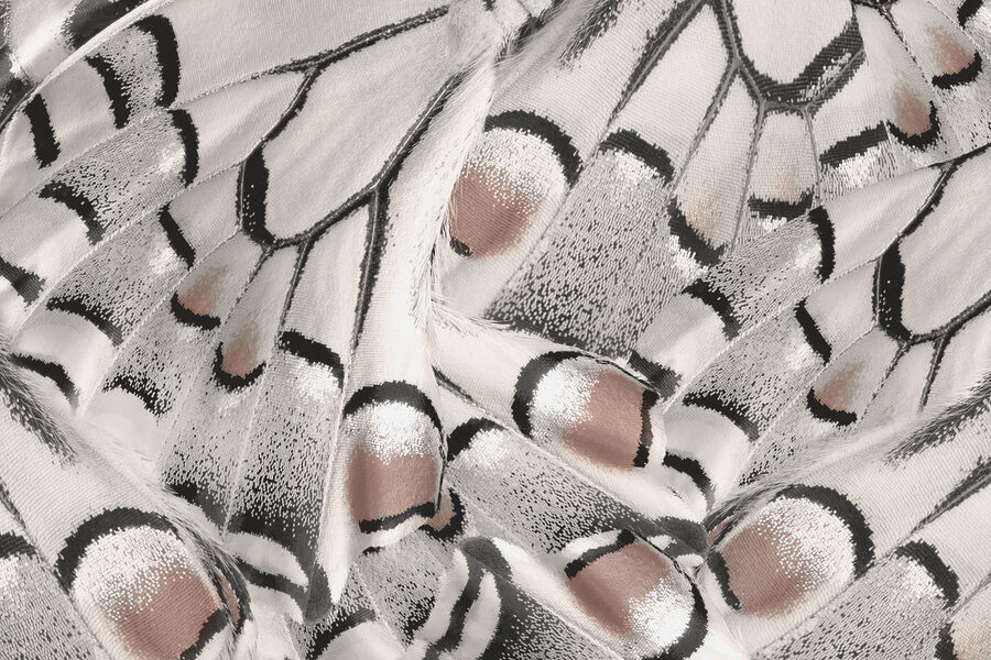 Wall murals Intricate patterns in delicate fabric. Wall murals Intricate patterns in delicate fabric.