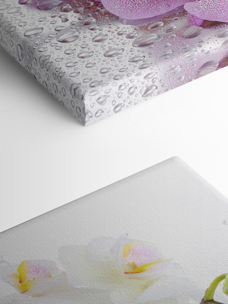 A close up of flowers A close up of flowers