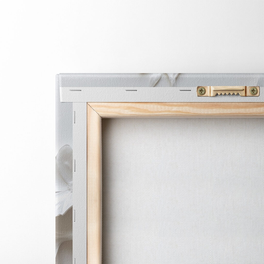 White wall with flowers White wall with flowers