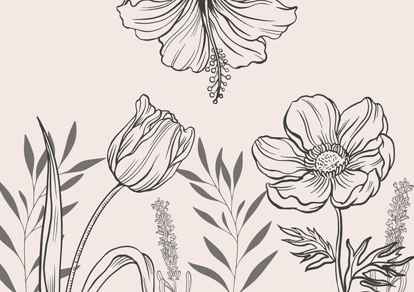 Jemný design květinových linií Jemný design květinových linií