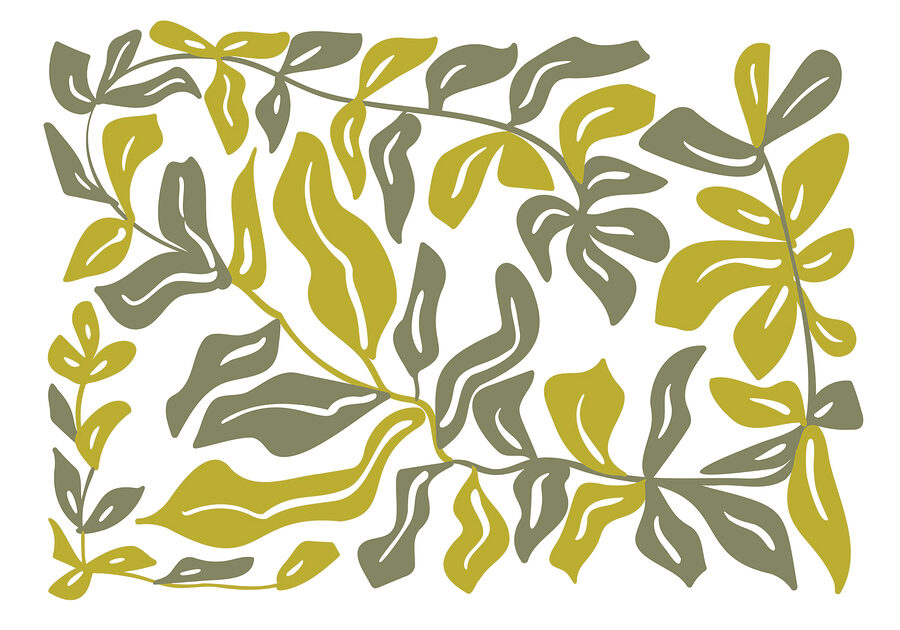 Wall murals Drawing of leaves and flowers Wall murals Drawing of leaves and flowers