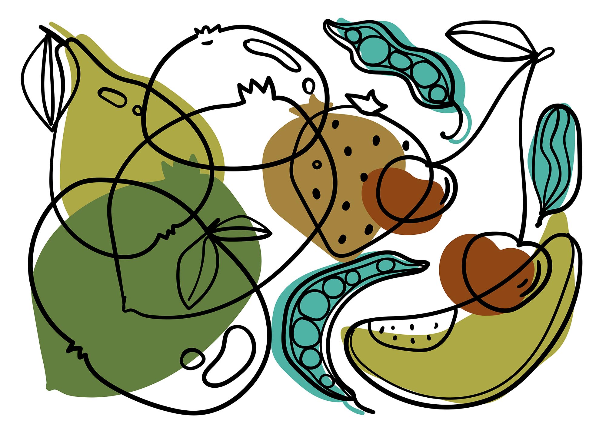 Drawing of different fruits