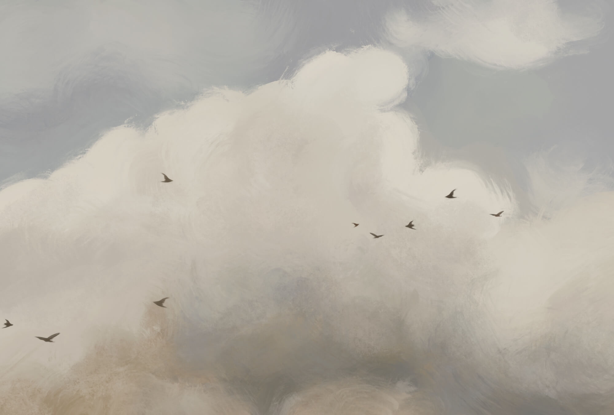 Birds flying birds in the sky Birds flying birds in the sky