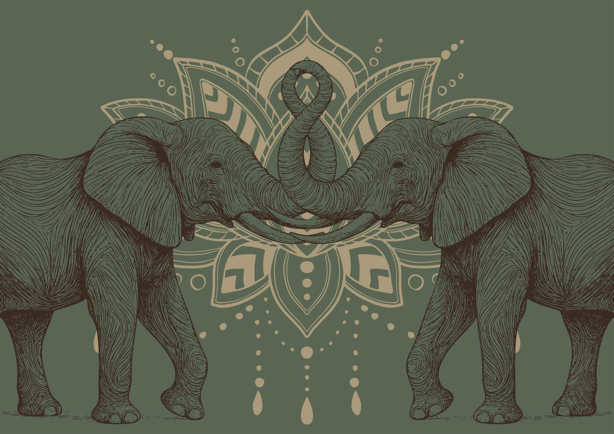 Two elephants with their trunks touching each other Two elephants with their trunks touching each other