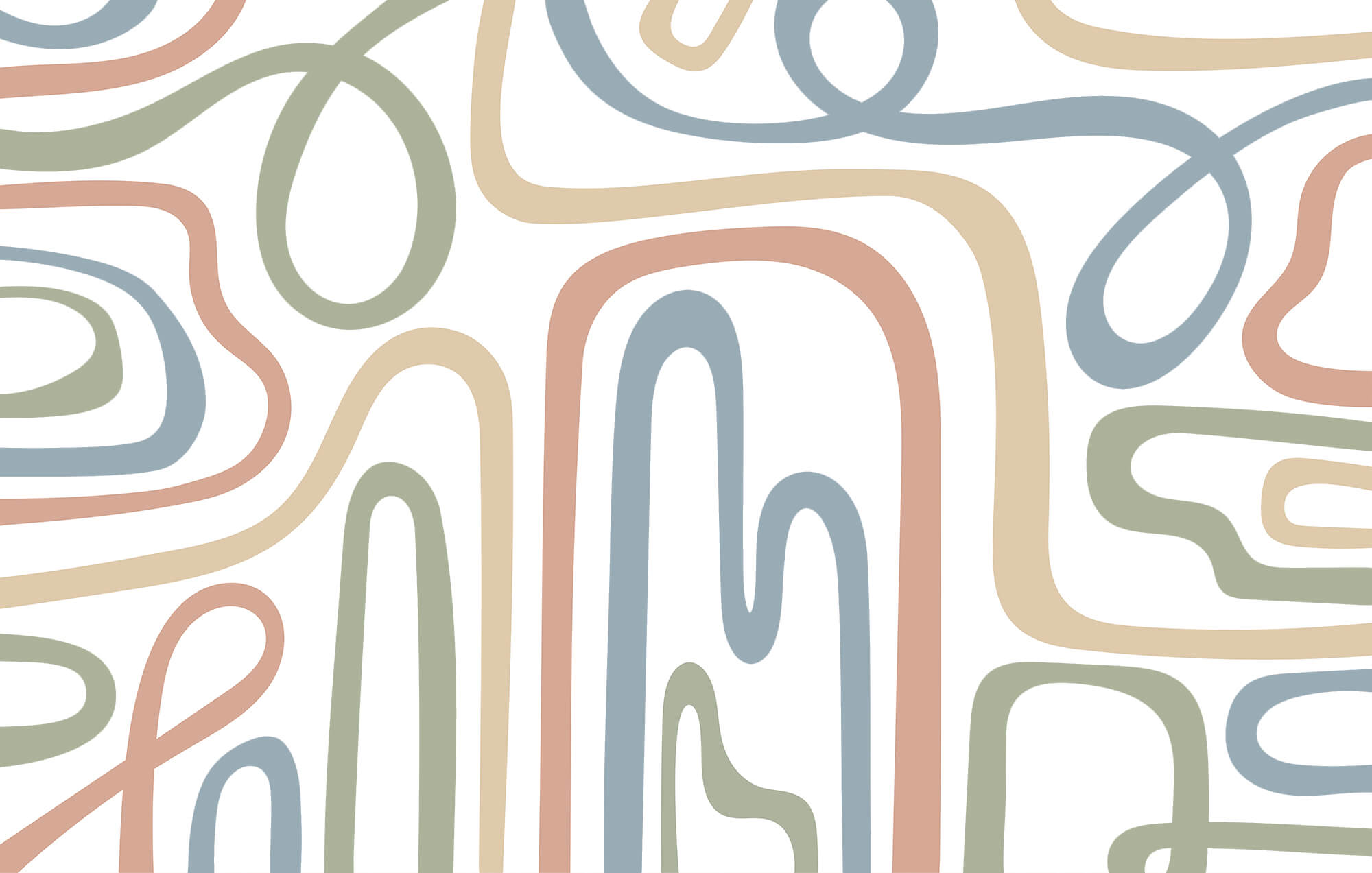 Colorful lines on a white background