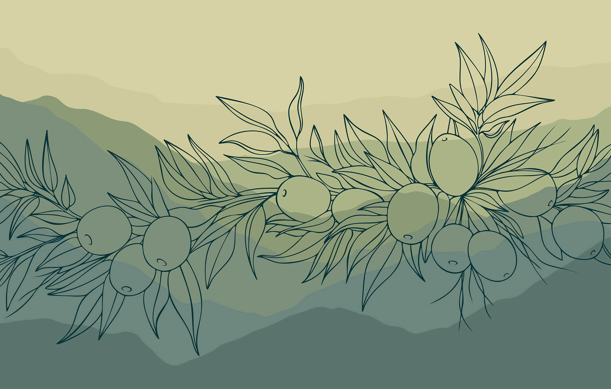 Drawing of a branch with fruits