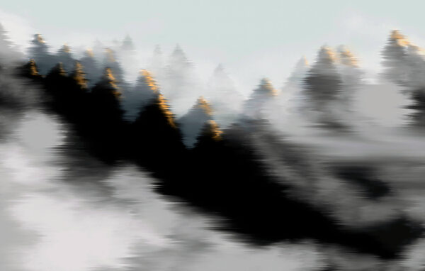 Foggy forest with trees Foggy forest with trees