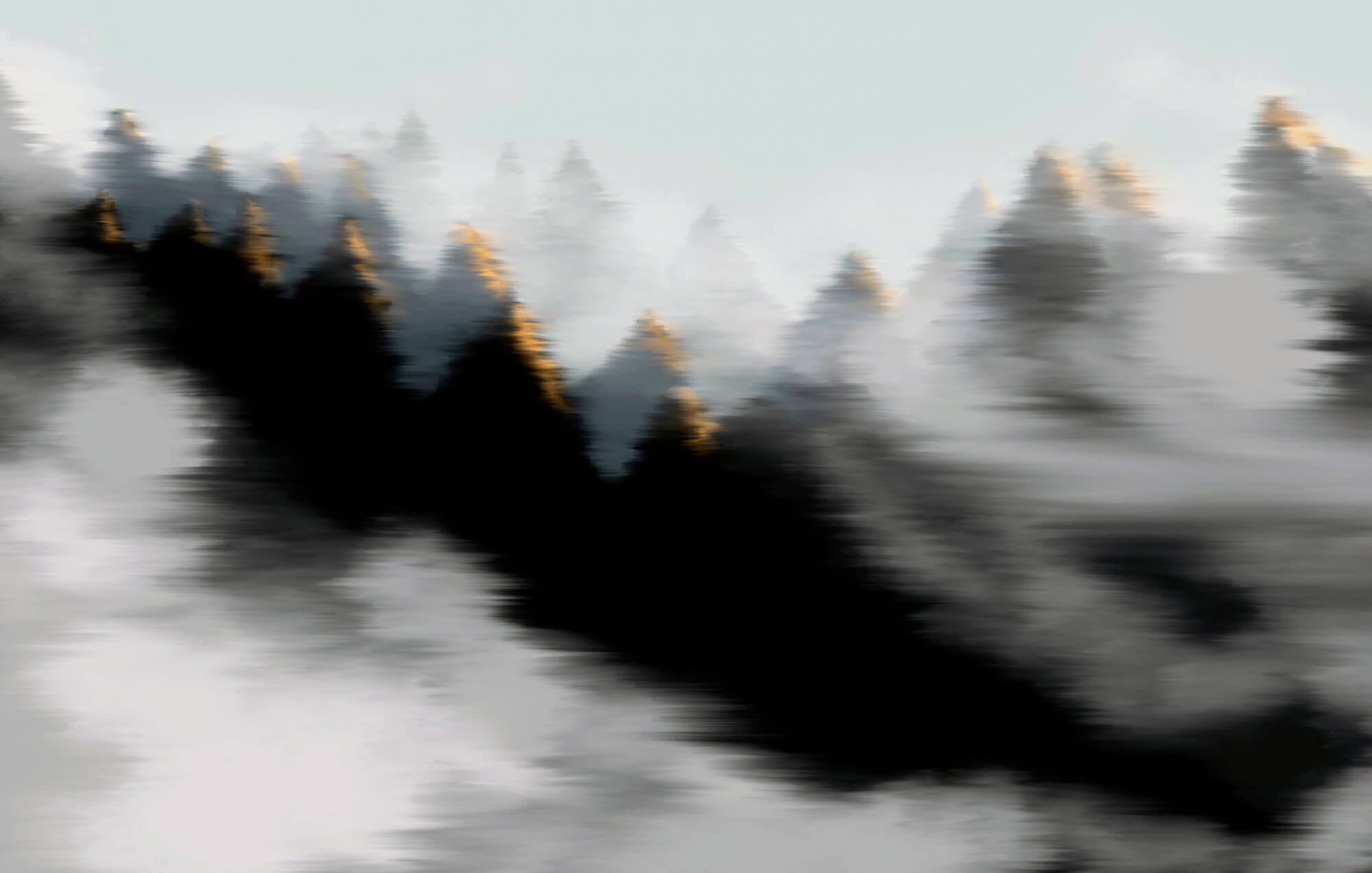 Foggy forest with trees Foggy forest with trees