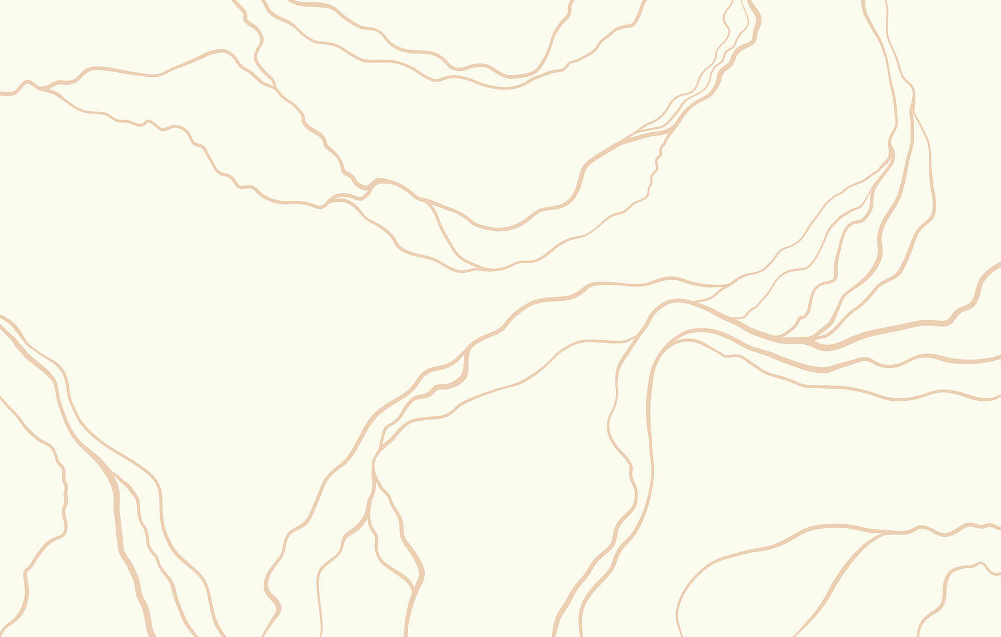 Bílé a oranžové čáry t00258p - Bílé a oranžové čáry