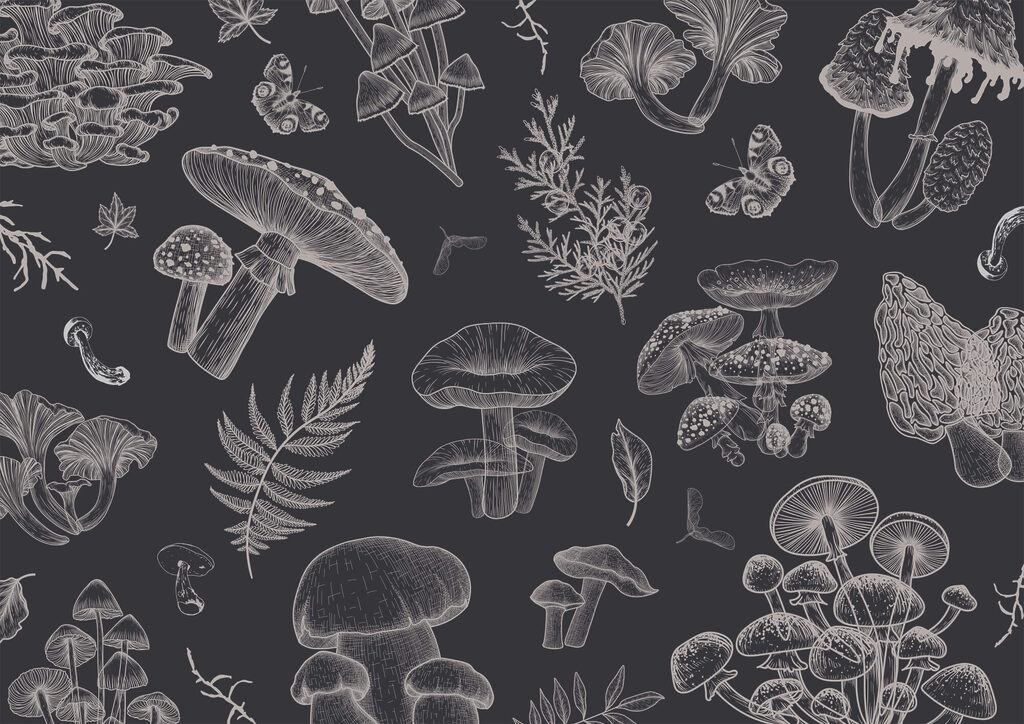 Pattern of mushrooms and leaves