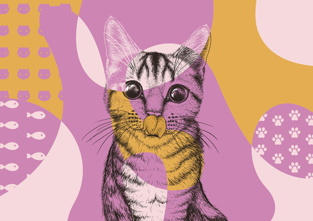 Cat with a mouse nose Cat with a mouse nose