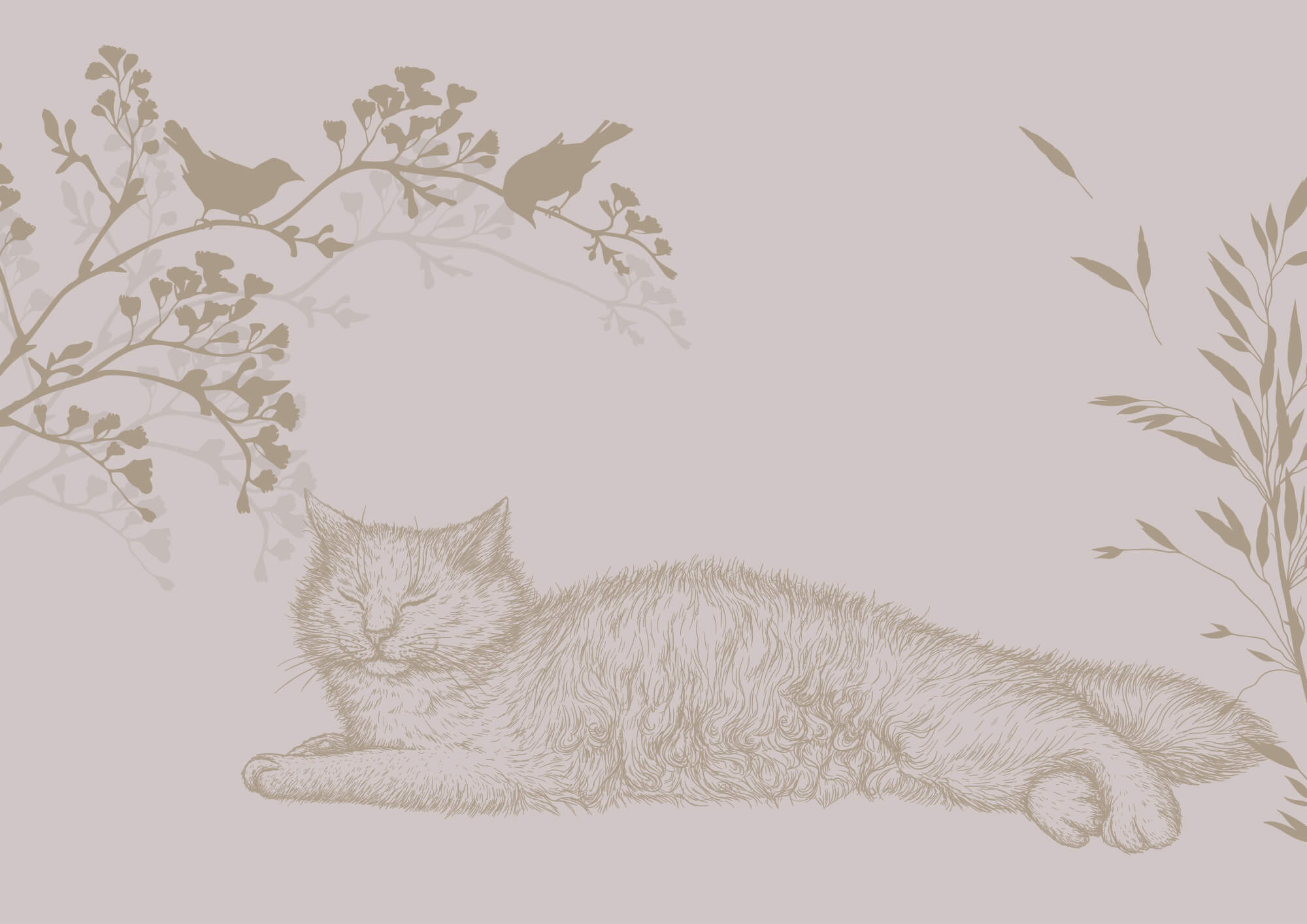 Cat lying on a tree branch